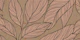 Leaf Line Vintage