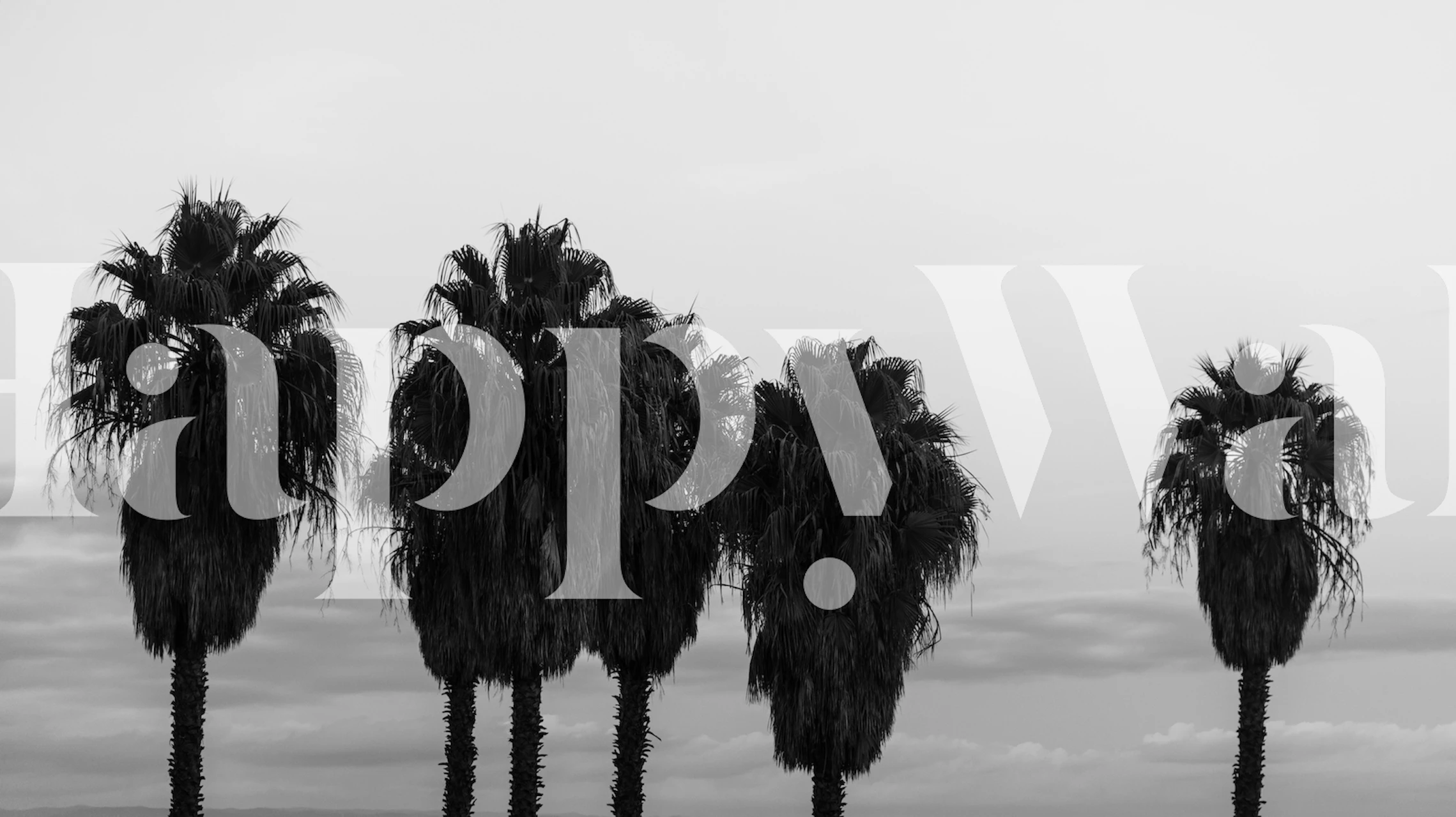 Black and white wall mural featuring a row of palm trees against a misty background, evoking a calm evening ambience