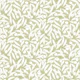 Olives Neutral Botanical - Matte Olive Green
