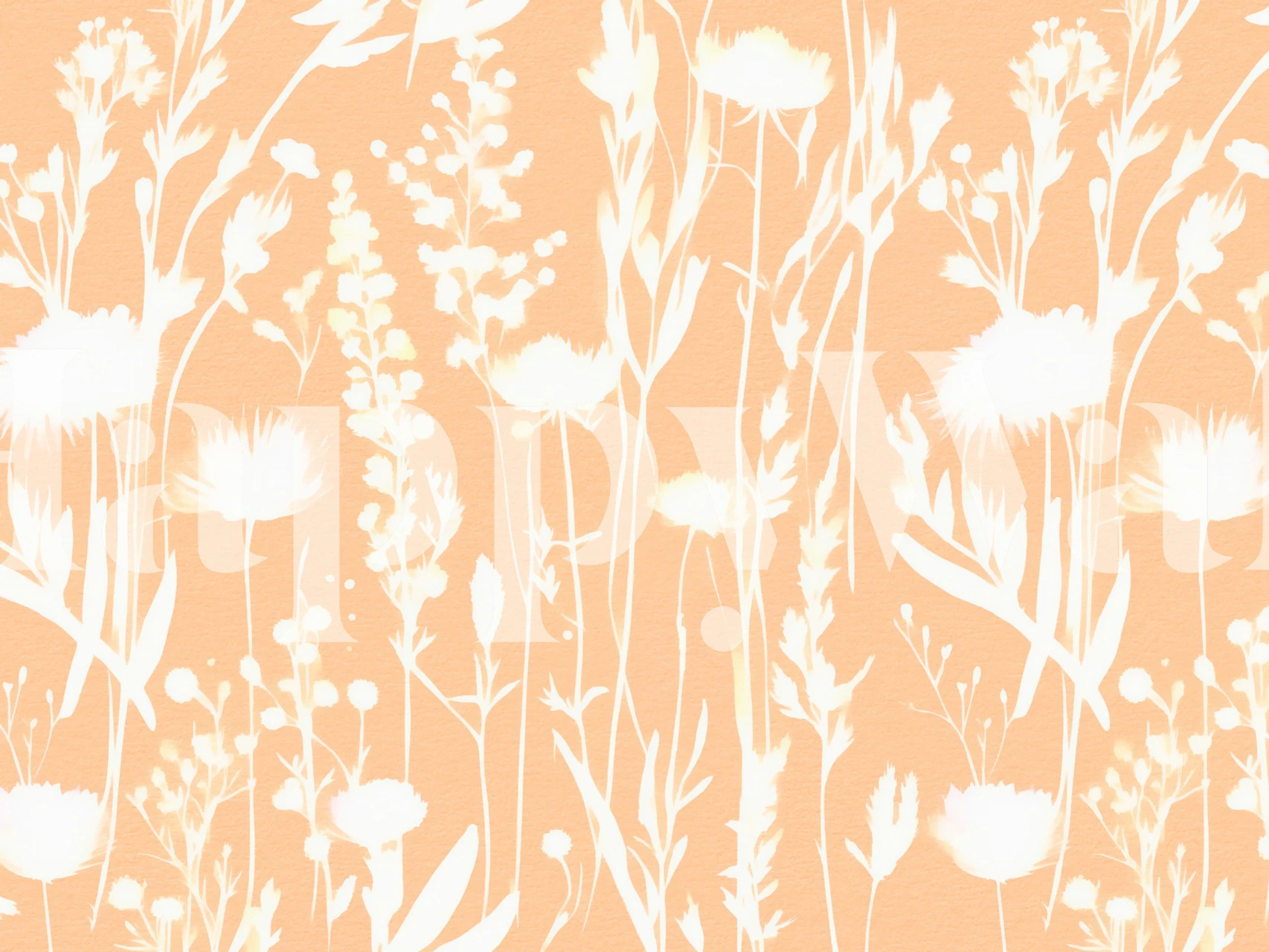 Peach background with white wildflower silhouettes wallpaper