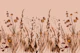 Wildflower Meadow Peach Pink