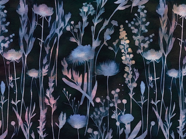 Moody Midnight Wildflowers