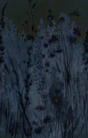 Moody Midnight Wildflowers wallpaper