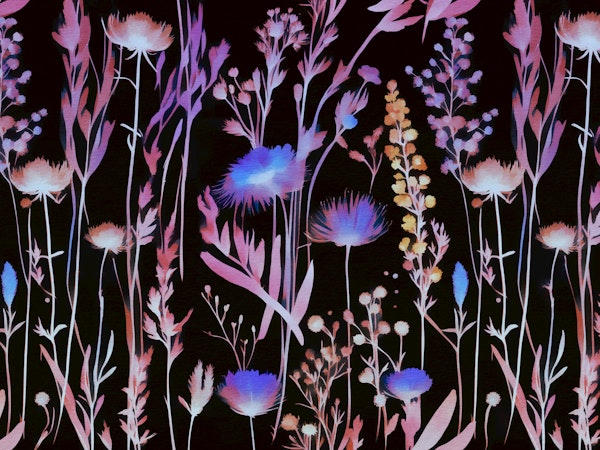 Vivid Moody Wildflowers