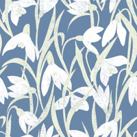 Lumikellot in blue tapet