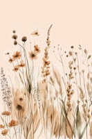 Wildflower Dream tapety