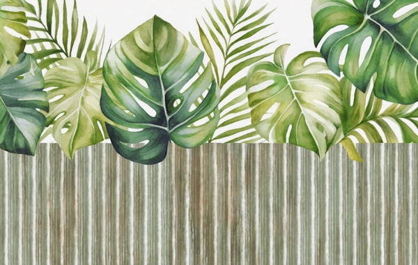 Urban Gardening Exotic Foliage