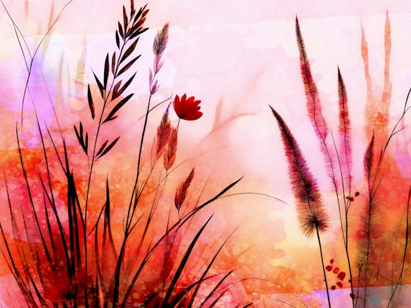 Dreamy Fantasy Landscape