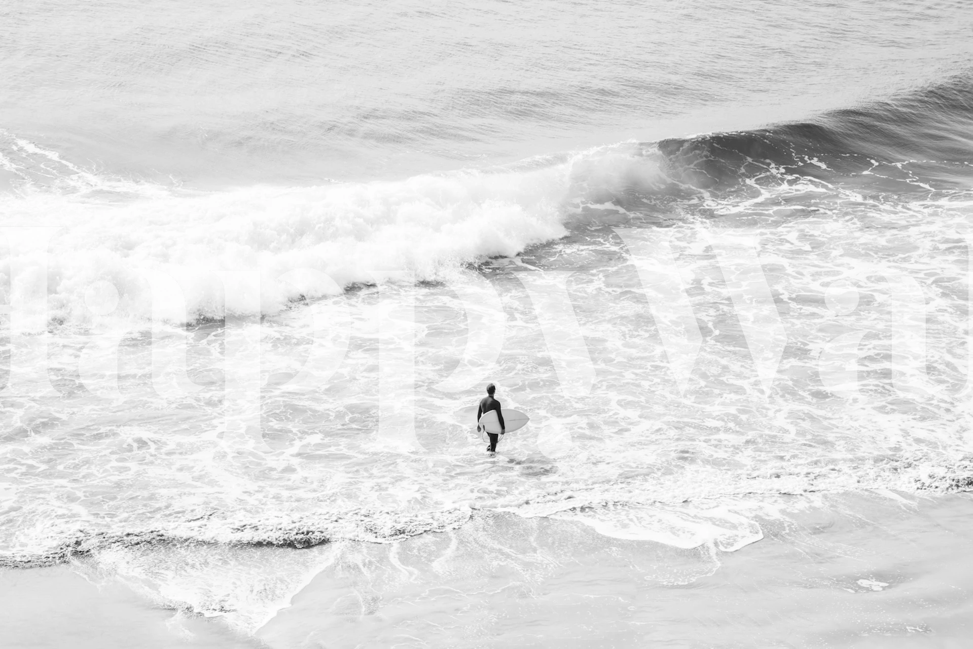 Noon Surfer Vibes 4 wallpaper in a room