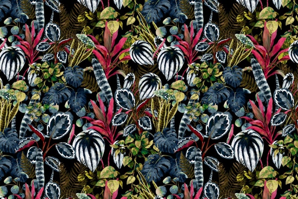 Tropical Night Garden XX