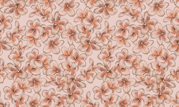 Hawaiian Serenity - Dusty Pink Plumeria
