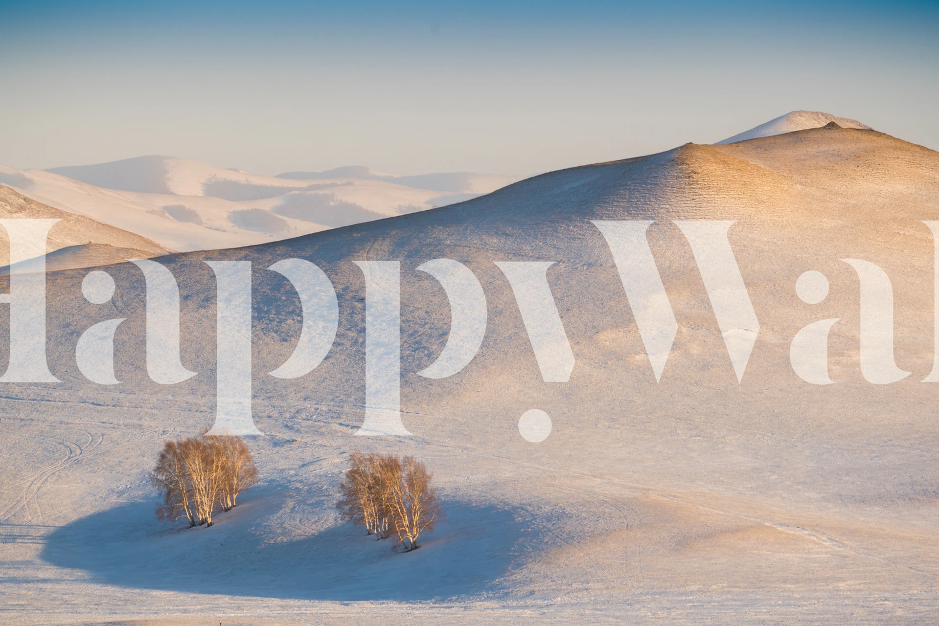 Guldfärgade kullar i Cappuccino Land tapet med morgonljus som kastar mjuka skuggor