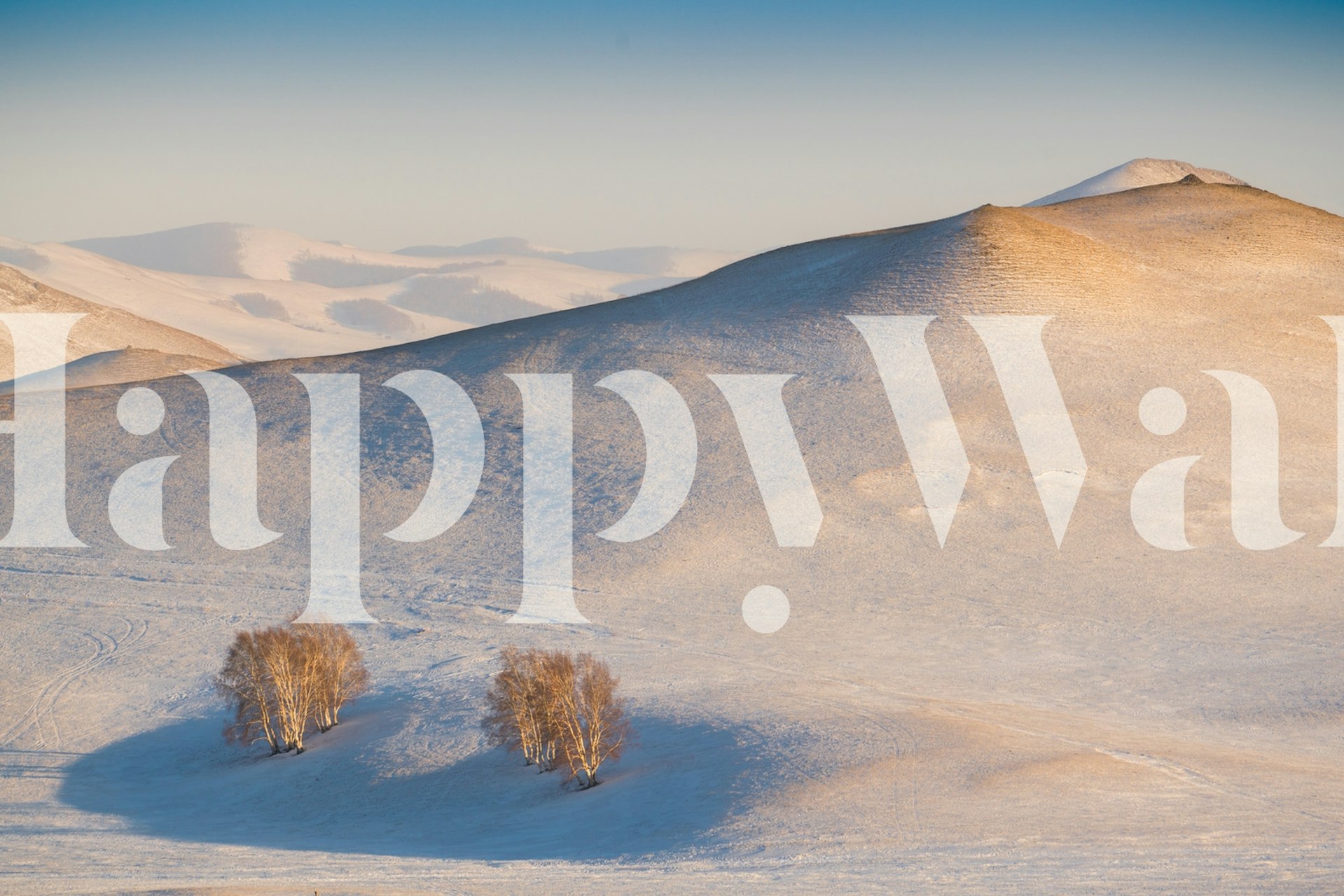 Cappuccino landscape with rolling hills and two trees wallpaper