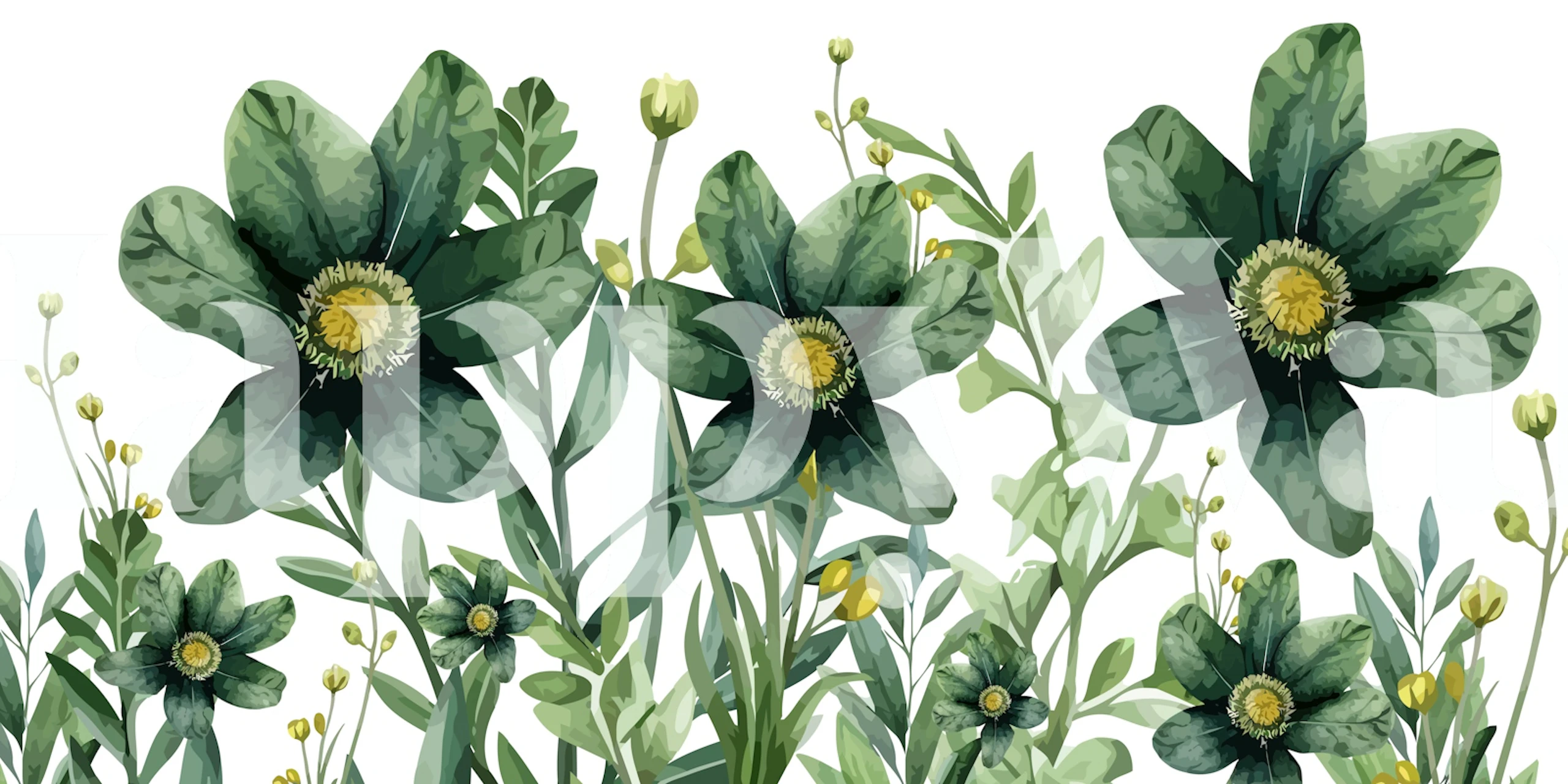 Fotomurais paisagistícos Flores pintadas à mão em plena floração