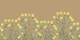 Flowers Happy Sand