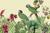 Jungle Vibes Parrot Island Illustration papiers peint