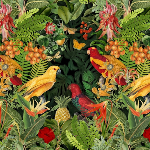 Midnight Jungle Parrots Botanical Art