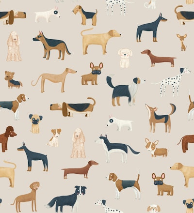 Pattern