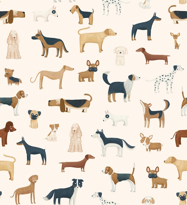 Dog Breeds in Cream