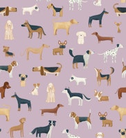 Dog Breeds in lilac papiers peint