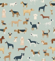 Dog Breeds in mint green papiers peint