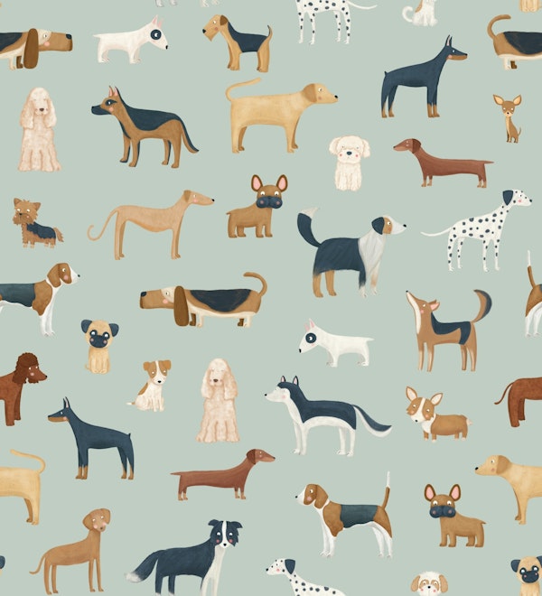 Dog Breeds in mint green