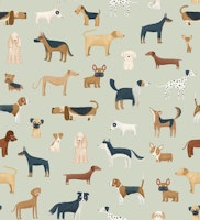 Dog Breeds in Sage Green papiers peint