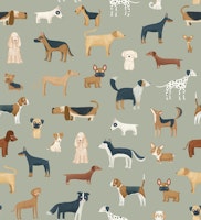 Dog Breeds in safari green papiers peint