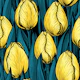 Yellow tulips with blue leaves