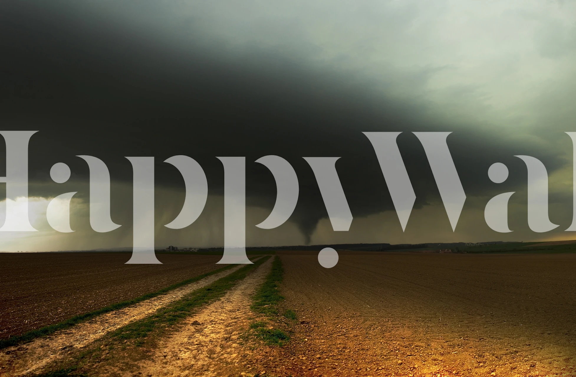 Spring wallpaper design in a room setting