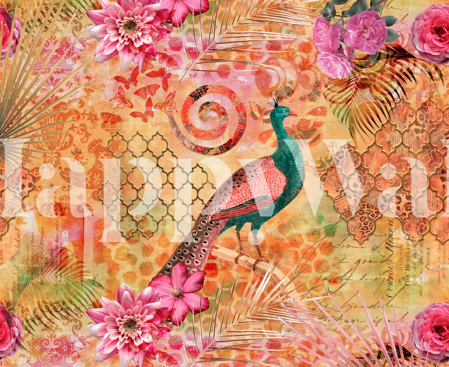 Colorful peacock and floral patterns in pink and orange wallpaper