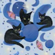 Black cat and moon phases