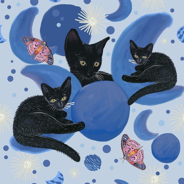 Black cat  moon phases