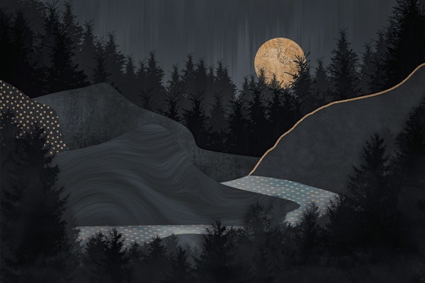Midnight Forest Full Moon Landscape