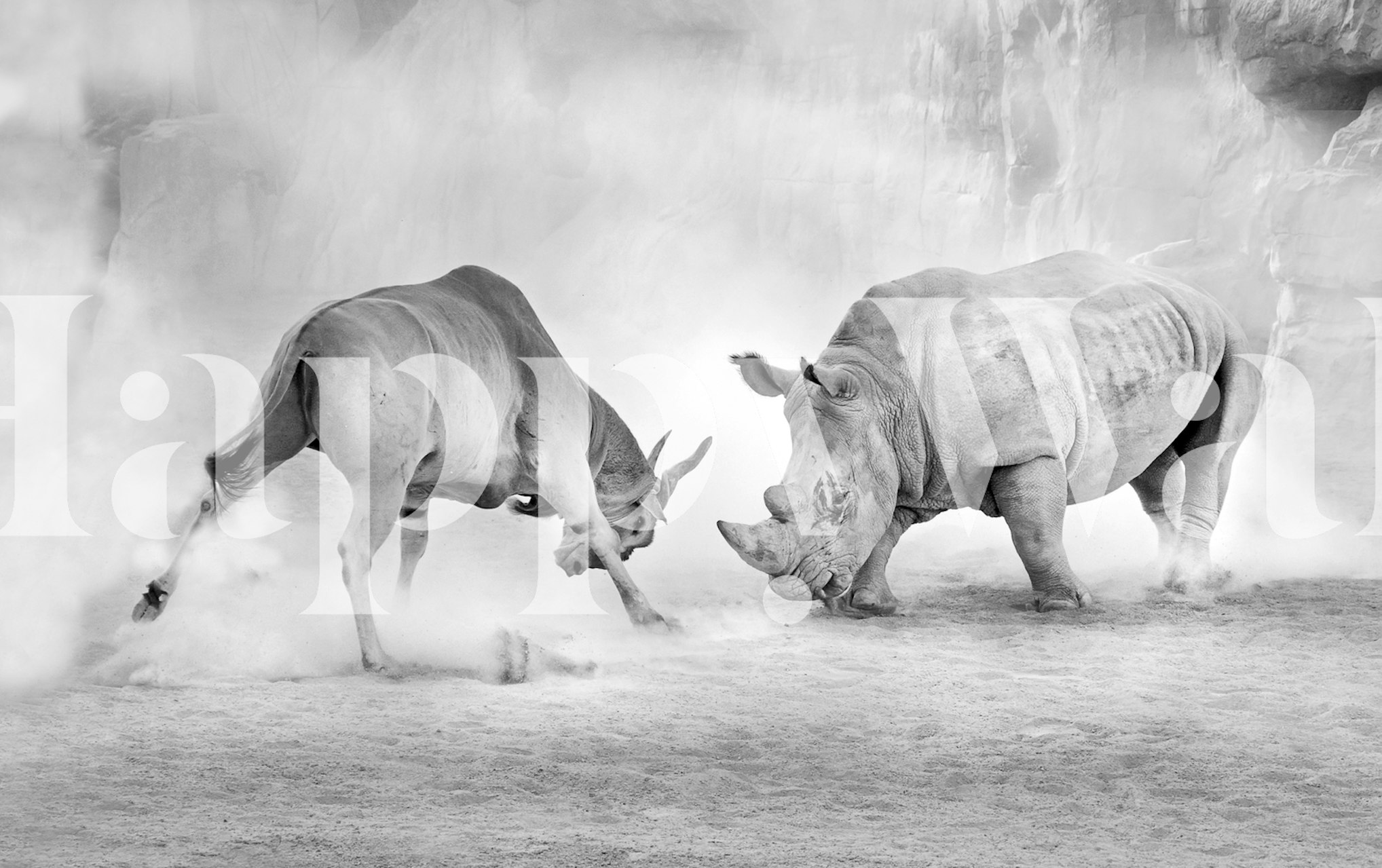 Two animals in combat on a gray background, black and white wallpaper