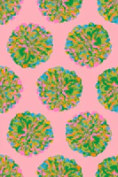 CHRYSANTHEMUMS Abstract Floral Green Pink wallpaper