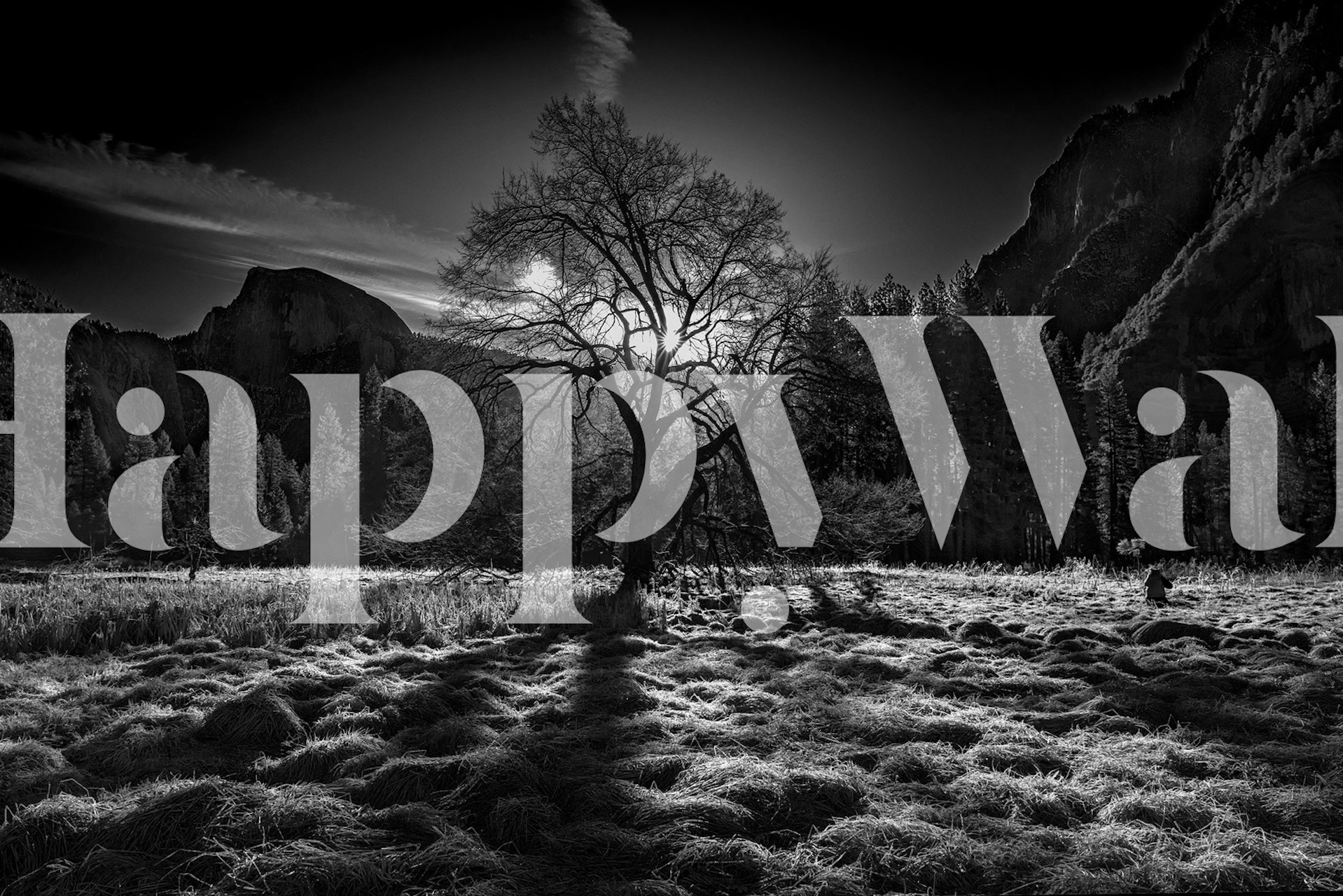 Black and white landscape wallpaper featuring a silhouetted tree and mountains