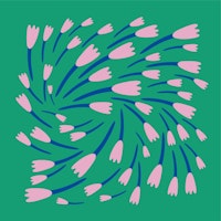 Pink crocuses on a green grass tapete