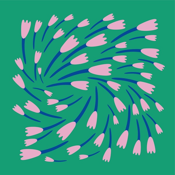 Pink crocuses on a green grass