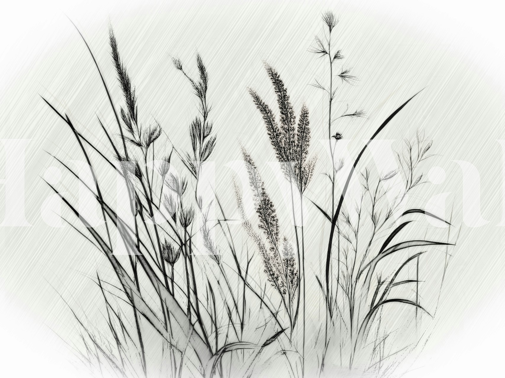 Tapeta Neutral Botanicals w pokoju