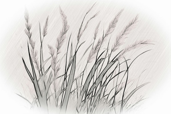 Neutral Botanicals Watercolor