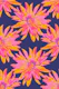 DAHLIA BURSTS Abstract Floral - Dark Blue