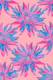 DAHLIA BURSTS Abstract Floral - Blush Pink