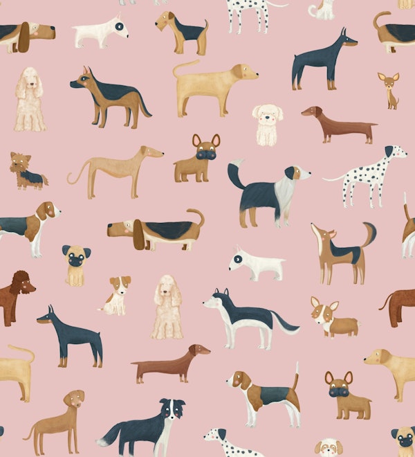 Dog Breeds in Pink
