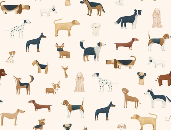 Dog Breeds in Cream big scale