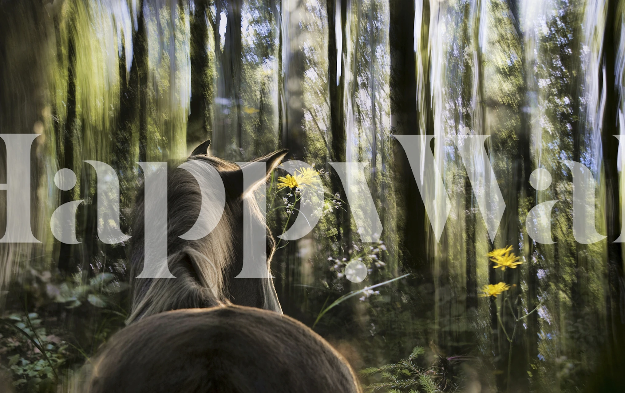 Horse in a blurred forest with yellow flowers and greenery wallpaper