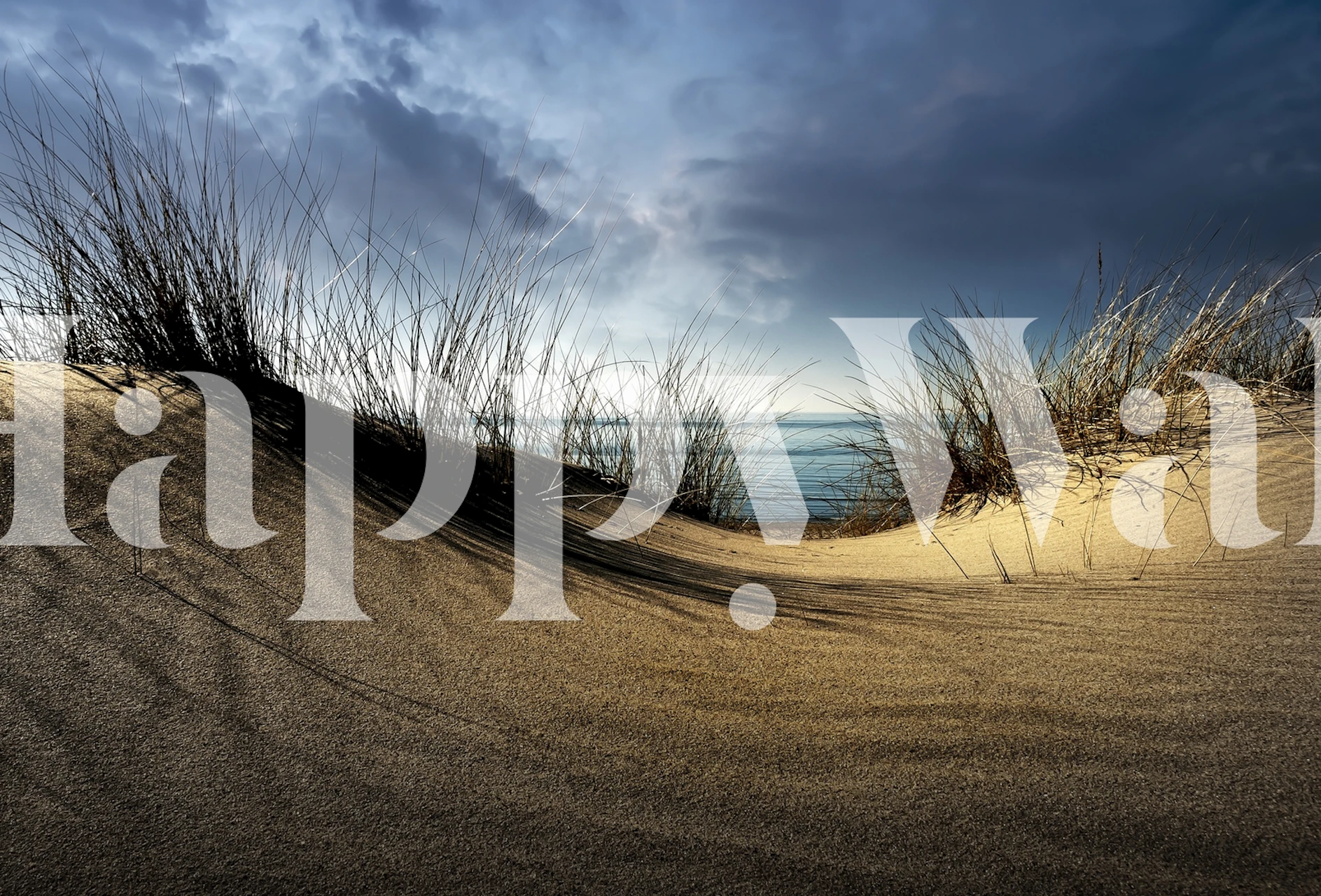 Coastal dunes with beige sand and grasses under a cloudy sky wallpaper