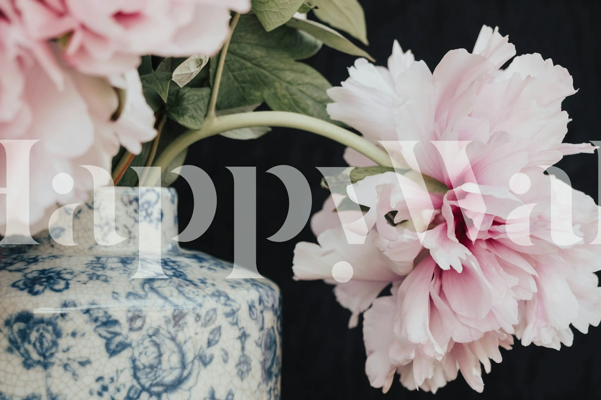 Pink peony flowers in a blue vase on black background wallpaper