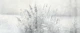 Gray Pampas Flowers - Light