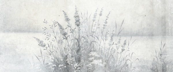 Gray Pampas Flowers - Light